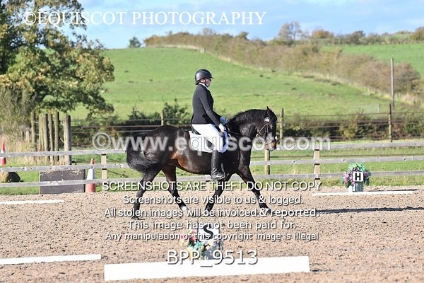 BPP_9513 - SHORT ARENA PRELIM 3