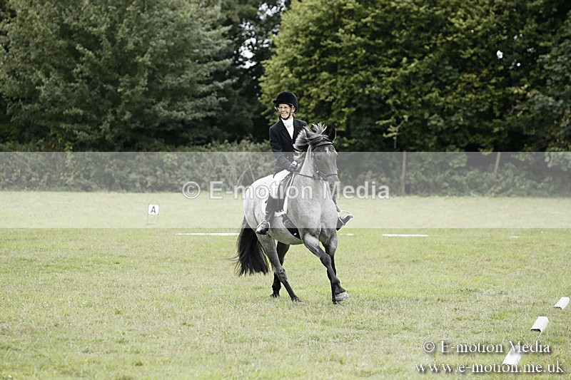 BVR080918 330 - BVRC Novice Dressage & CR 08/09/18