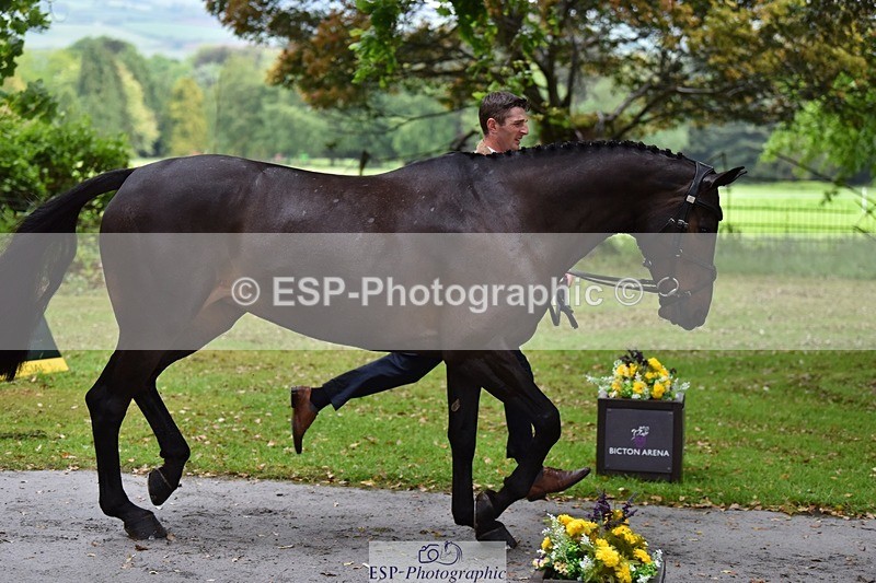 240522-152204-00289 - 325-MIDNIGHT_ENDEAVOUR-Tom_Jackson