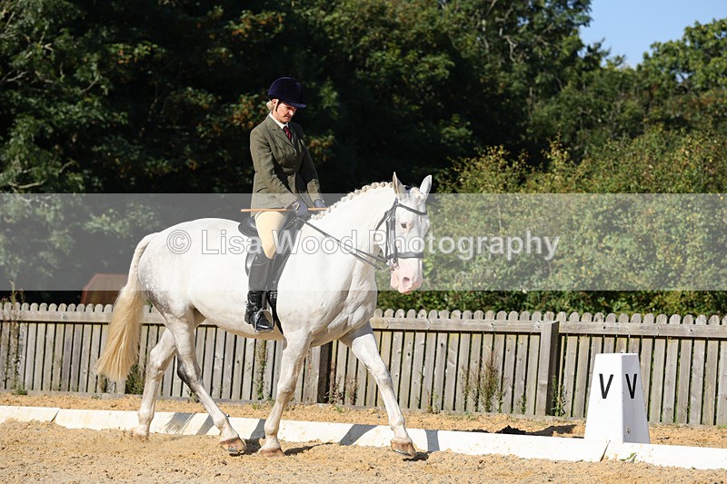 1X9A7710 - Class 9: Open Ridden Hunter