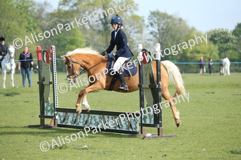 20260426-0150 - Class 13 - Rookie Jumping 50cm