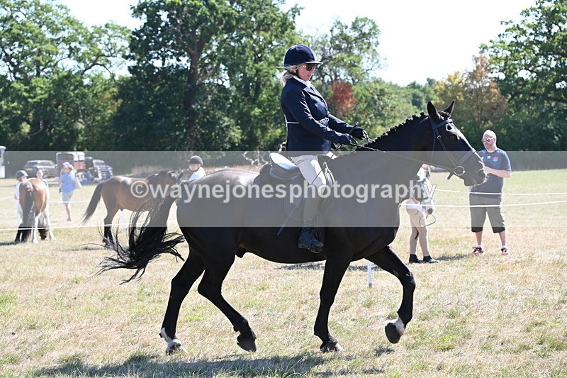 WJ6_8285 - Class 37a Best Loan Pony Ridden