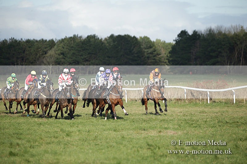 PtP 011219-0057 - Hursley Hambledon Hunt Point-to-Point 01/12/19