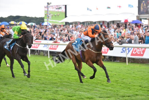 yr23072022r7-29 - Race 7 5.35pm Sky Bet Paying Extra Places Stakes