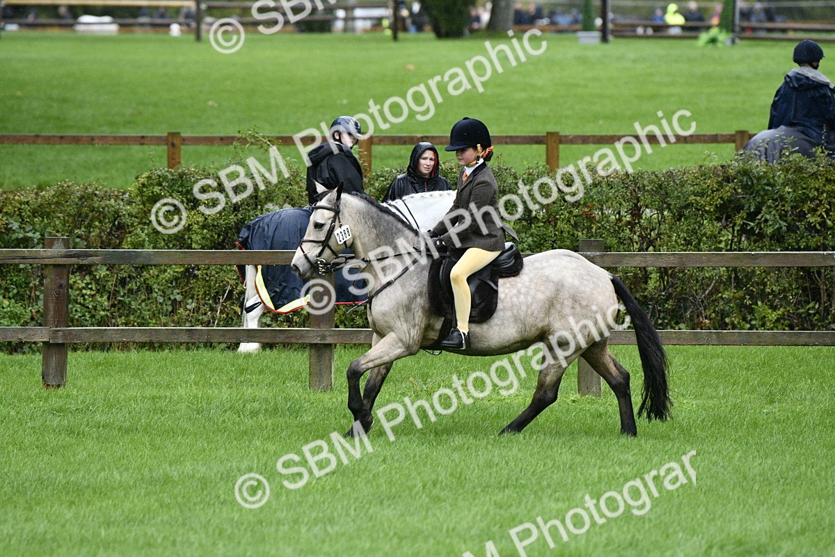 SBM_35538 - S30 - Nursery Stakes Working Hunter Pony