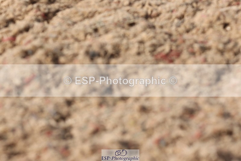 240622A-172533-15119 - Cls 21 Quest Novice 27