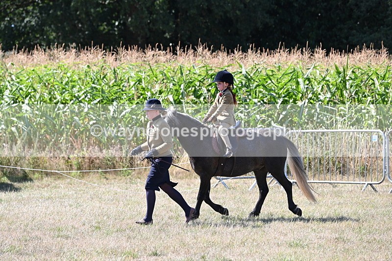 WJ6_7965 - Class 36 Lead Rein