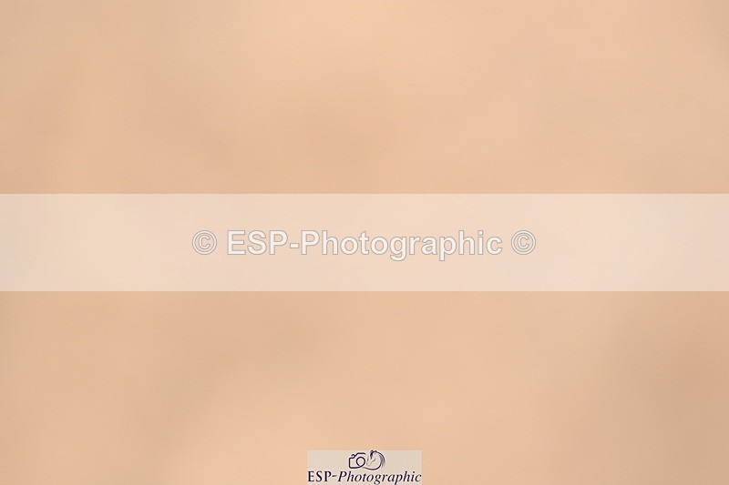 240323A-132322-03093 - DR Elementary 50