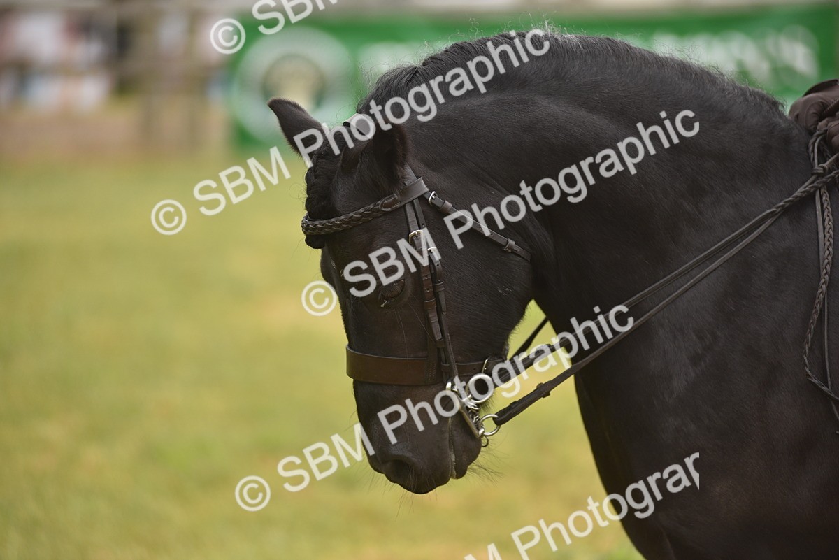 SBM_10707 - Class 110-112 - LIHS BSPS Performance Pones