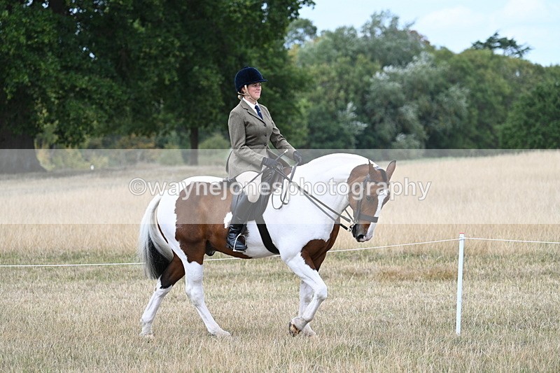 WJ7_4617 - Class 12 Ridden Cob