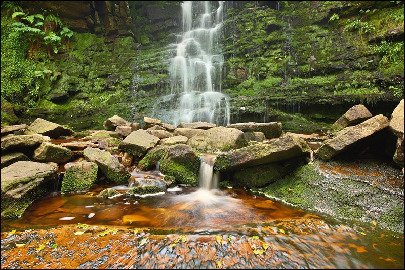 Black Clough - Photographs of Woodland & Rivers