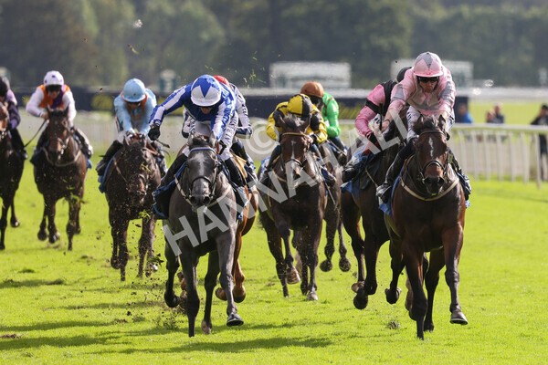 yr24092021r4-18 - Race 4 3.15pm William Hill Play Responsibly British EBF Restricted Novice Stakes