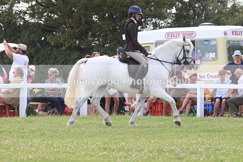 JPP_3832 - Class 23: Working Hunter 80cm