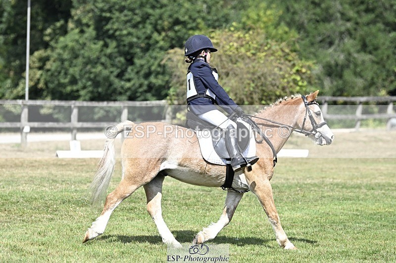 250821A-121159-15472 - DR 11.00 to 12.00