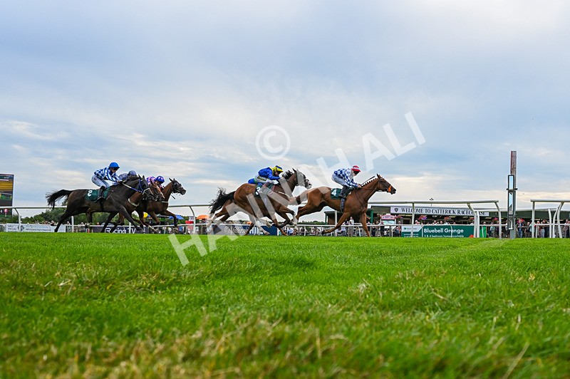 260826-Race 4-Niffler-5971 - Race 4 15:45 Hats Of Yorkshire Handicap