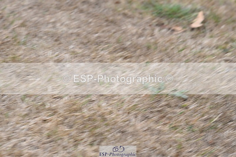 250820A-175346-12347 - Wednesday Presentations