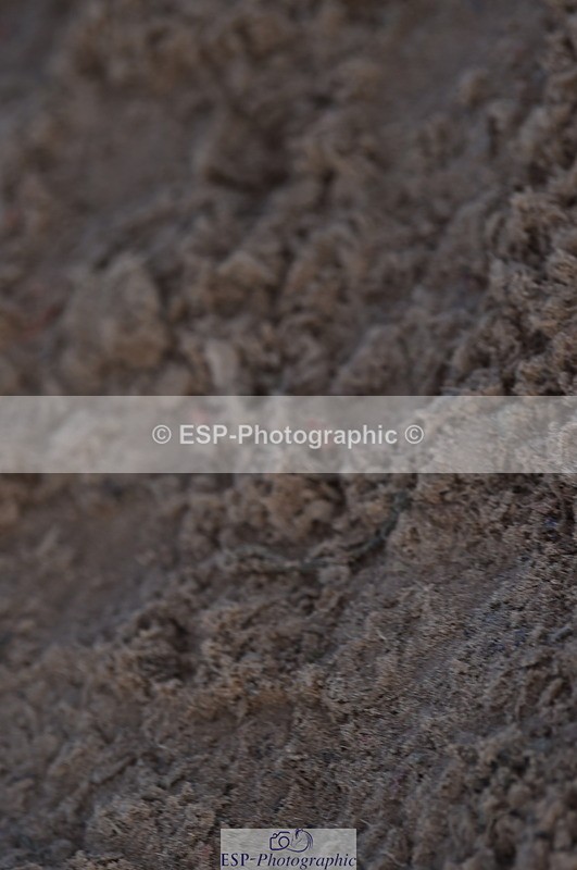 231015A-120446-07893 - Cls 24 85cm Amateur Q