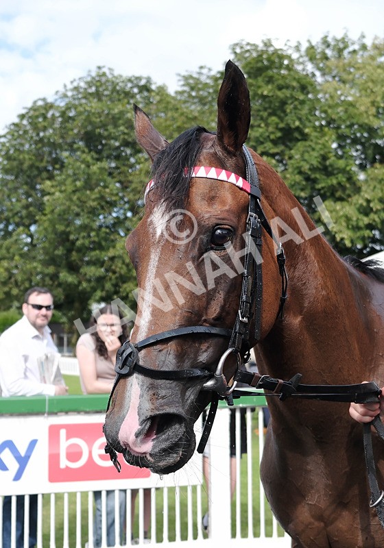 260724-Race 5-Etoile dAlexandre-13 - Race 5