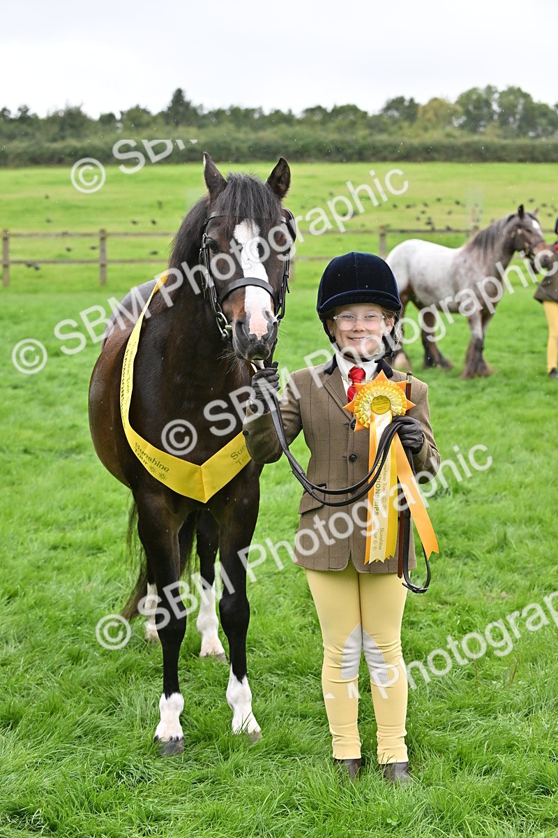 SBM_68622 - S42 - Junior Handler 9-12 Years