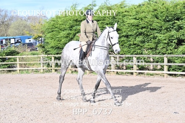 BPP_6737 - RING 1  (RIDDEN HORSES / IN HAND / VETERAN ETC)