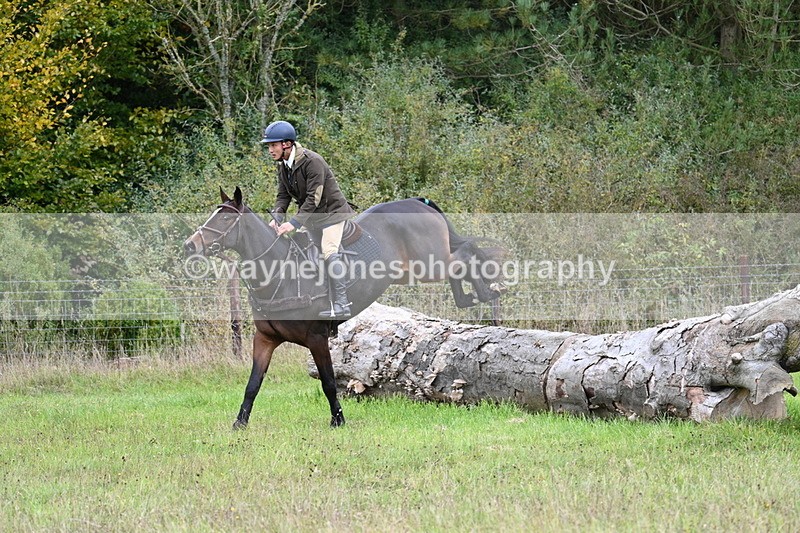 WJ7_3732 - Camera 1 Line 1