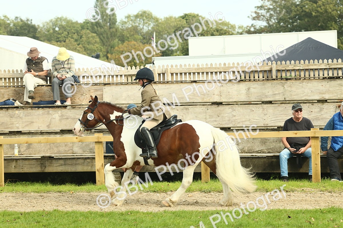 SBM_68245 - S58 - Mini Show Cob Ridden