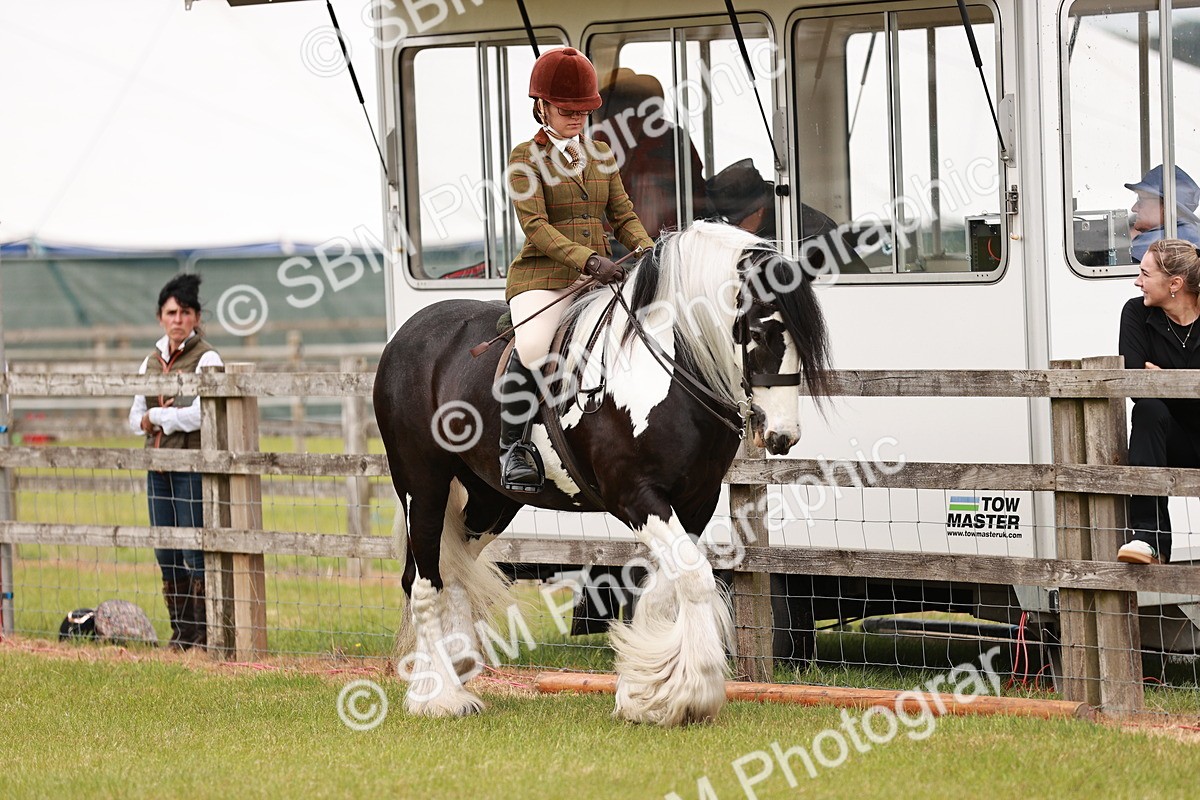 SBM_06086 - Class 39-41 TGCA In Hand and Ridden