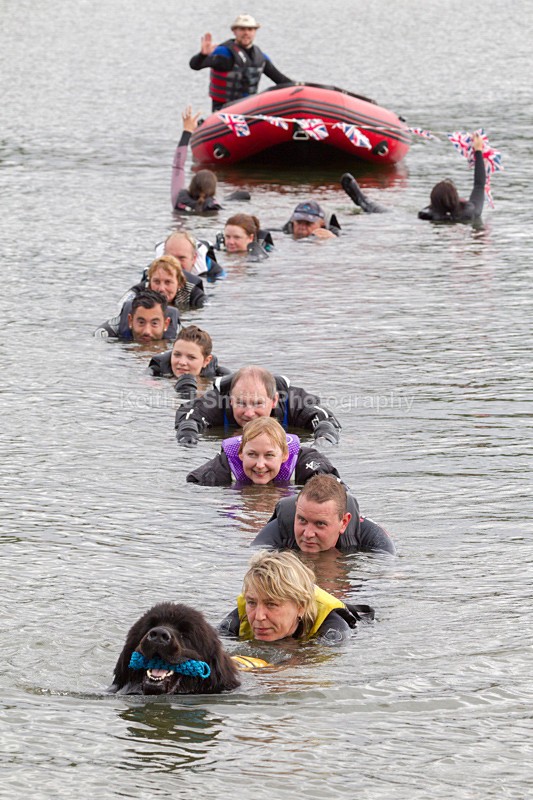 0KJS5724 - Working Dogs