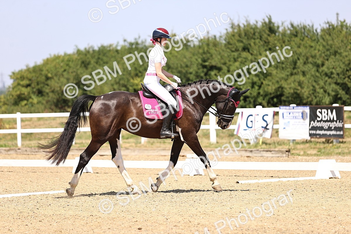 SBM_004056 - Intro 2