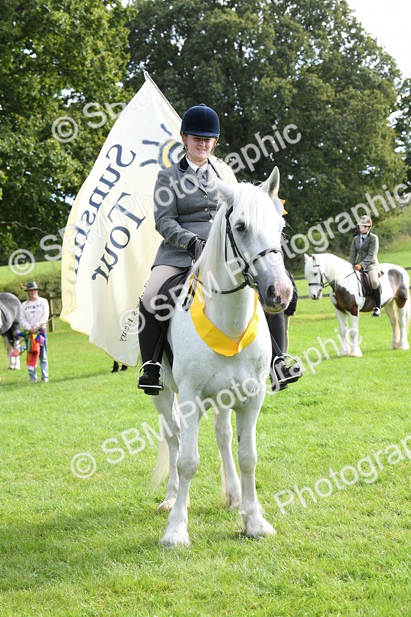 SBM_47242 - S12 - Family Horse & Pony
