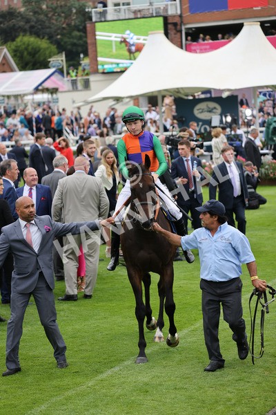 yr20082021r4-78 - Race 4 3.35pm Coolmore Wootton Bassett Nunthorpe Stakes (British Champions Series Race)