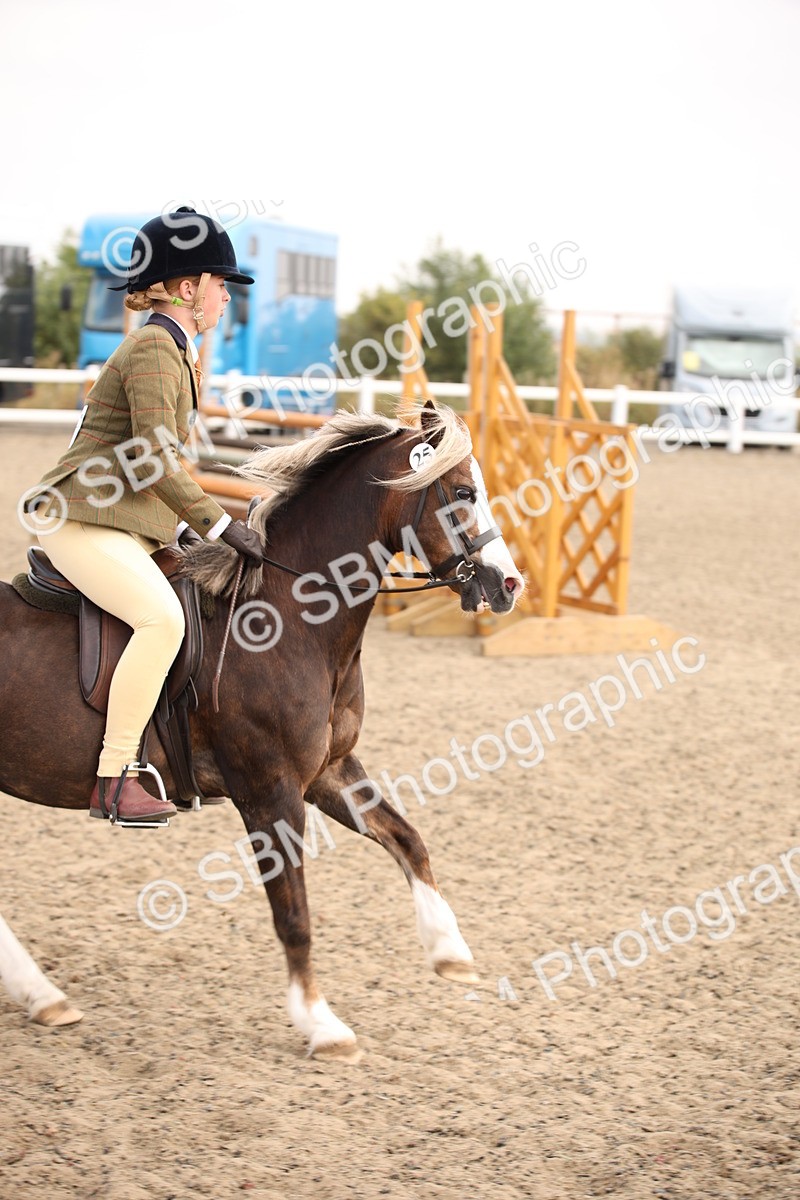 SBM_11693 - Class 404b Junior Working Veteran- 40cm(20+)