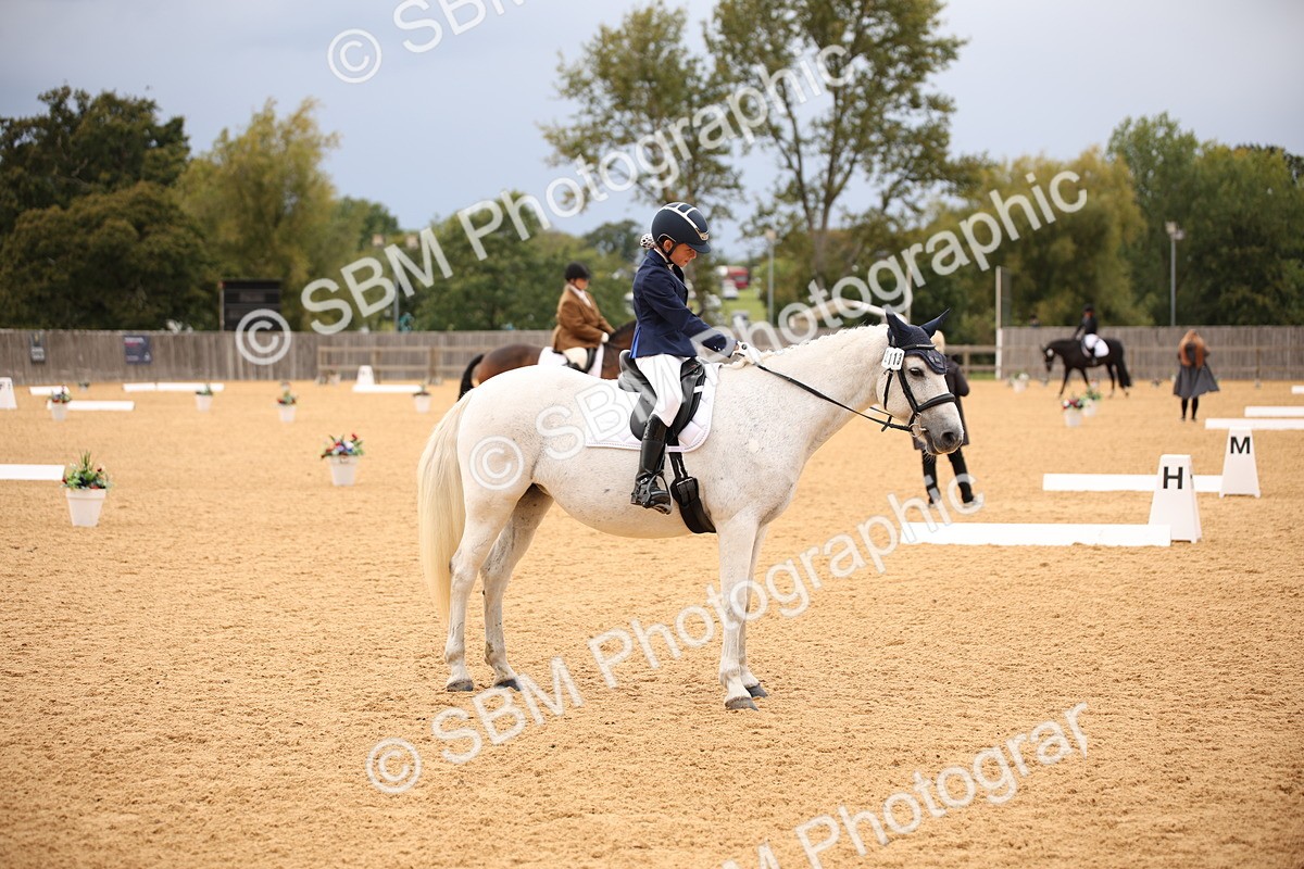 SBM_12221 - D3 Small  Tour Championship Intro A