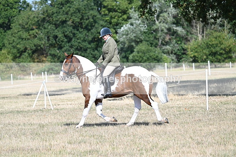 WJ7_2840 - Class 8 Ridden Tack & Turnout