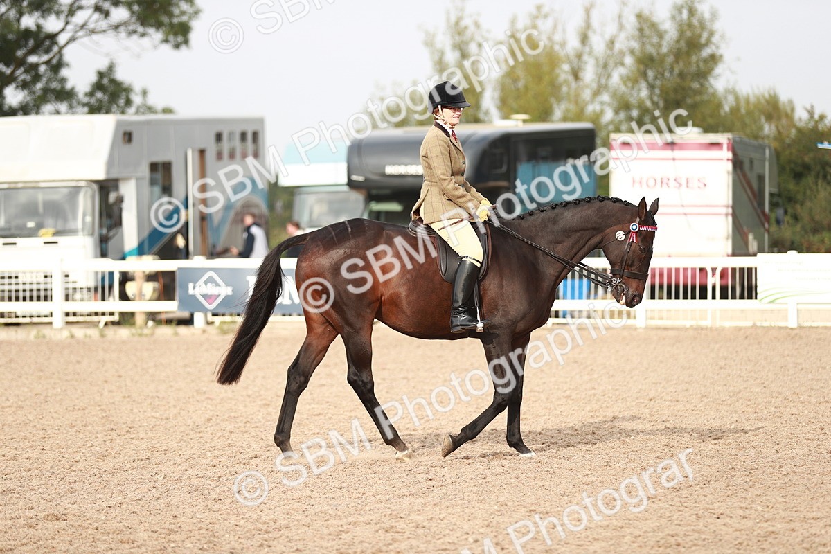 SBM_09412 - Class 202 Best Turned Out Ridden