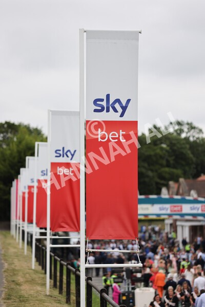 yr24072021r5-6 - Race 5 4.25pm Sky Bet Best Odds Guaranteed Stakes