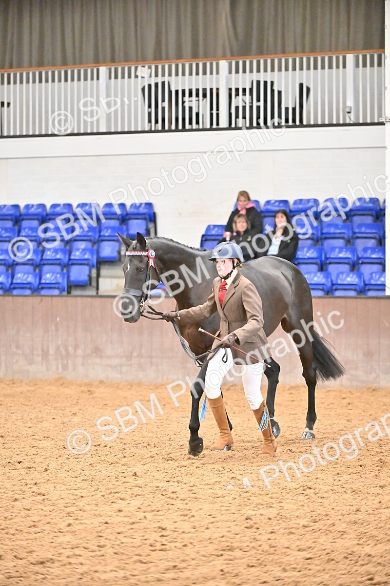 SBM_000768 - Class 16 - In Hand Showing Supreme Championships