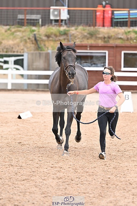 250716-140242-00873 - Trot Up 1.30 to 2.30