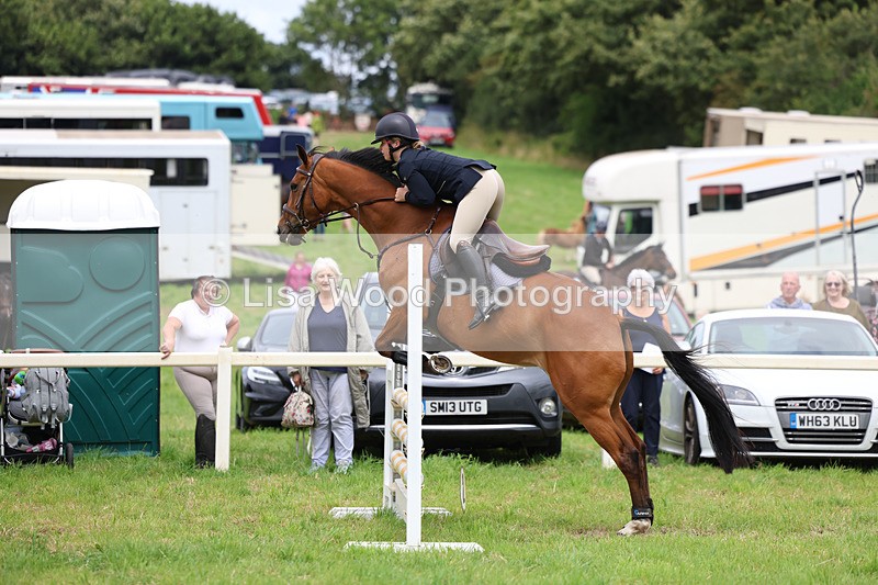 3E7A7108 - Class 5: Senior British Novice/90cm open