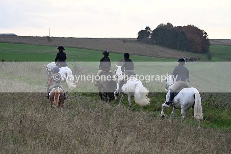 WJ7_0090 - Camera 1 & Last fence