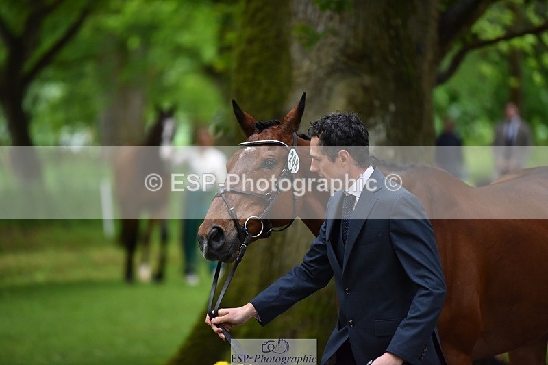 240522-163554-01033 - 268-TOM_DILLINGER-Hector_Payne