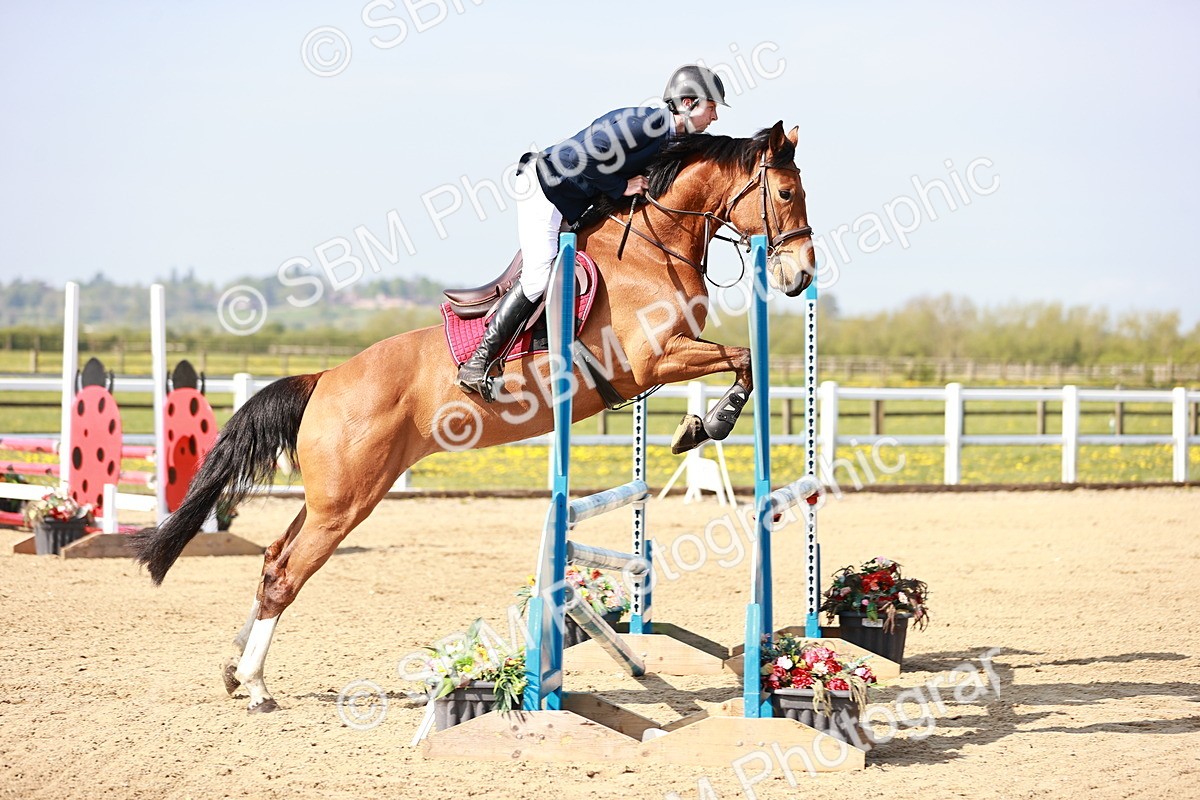  - Class 21 - Senior British Novice - 90cm