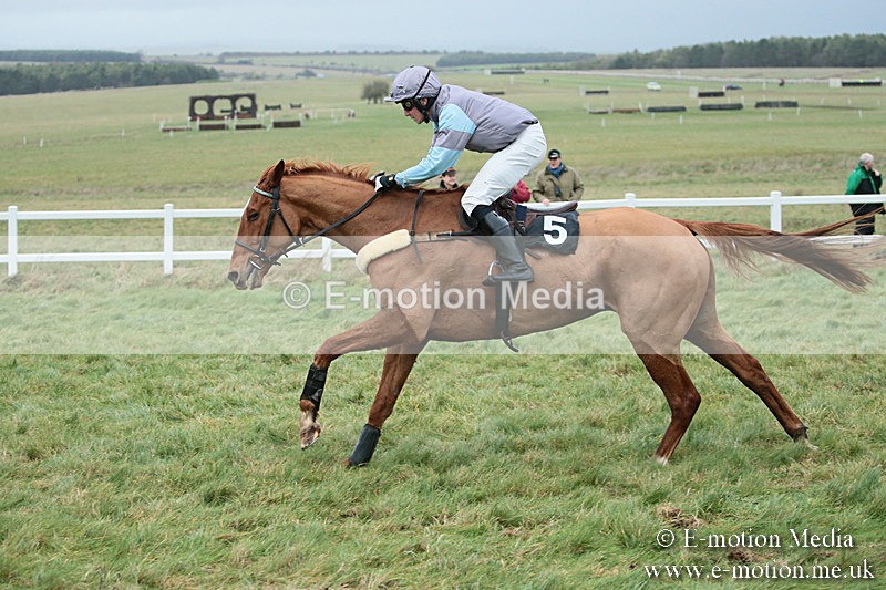 PtP 021218-186 - Hursely Hambledon Hunt Point-to-Point - Larkhill 02/12/18