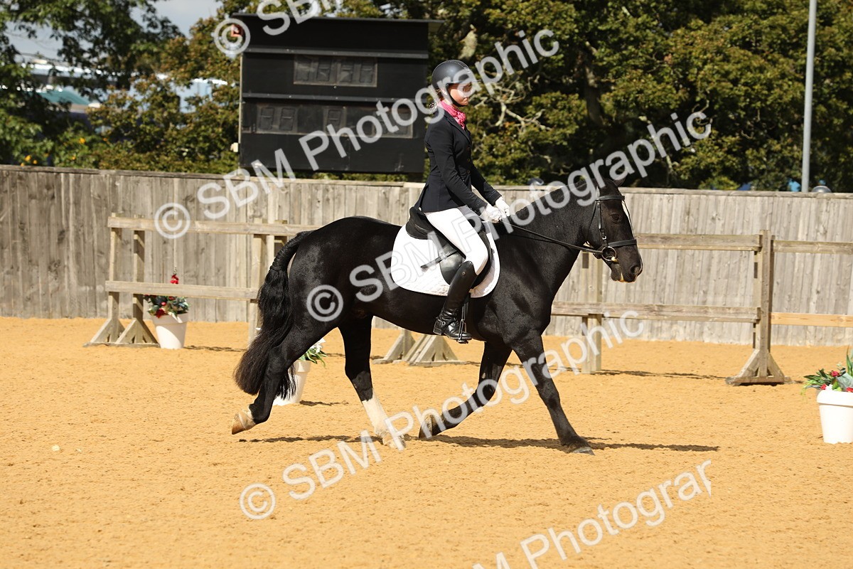 SBM_41931 - D21 - Junior Championship - Intro A