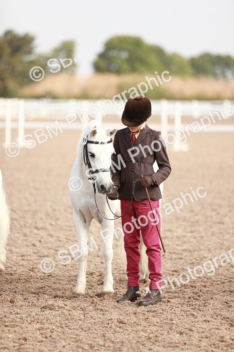 SBM_10611 - Class 204 Young Handler, 11-16 years
