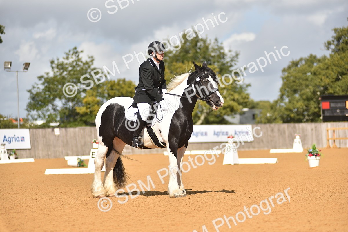 SBM_03155 - D4 - Small Tour Championship Intro 4
