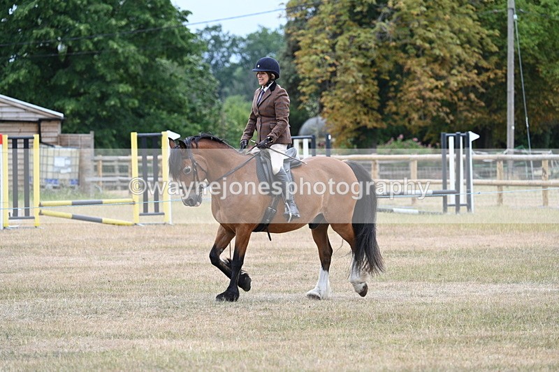 WJ7_0314 - Class 6 Ridden Mountain and Moorland