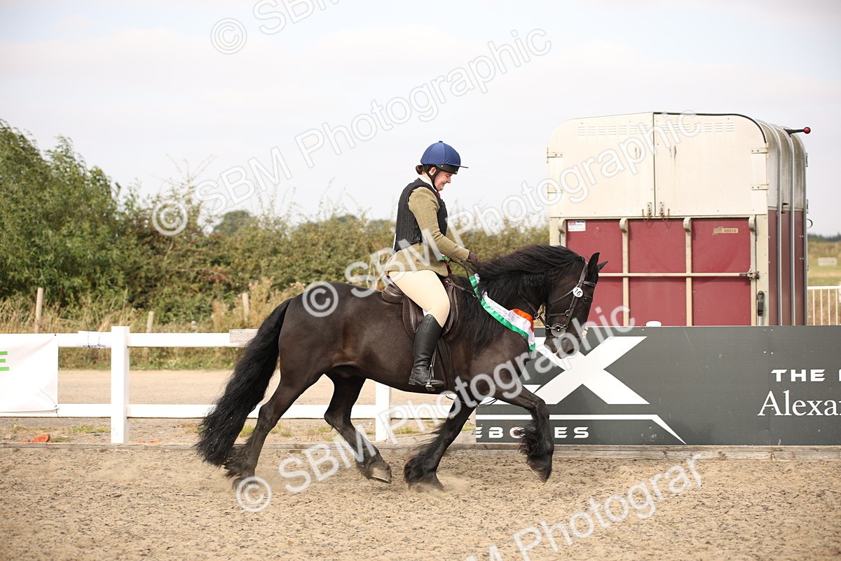 SBM_16242 - Class 409a - Working Veteran 80cm (15-19)