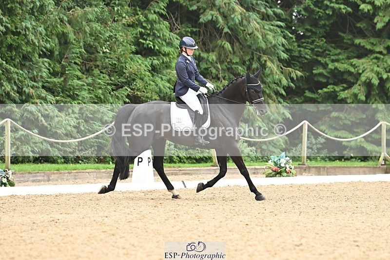 240811-115759-05309 - 118-Katie.Kneen-Springtime.Evergreen