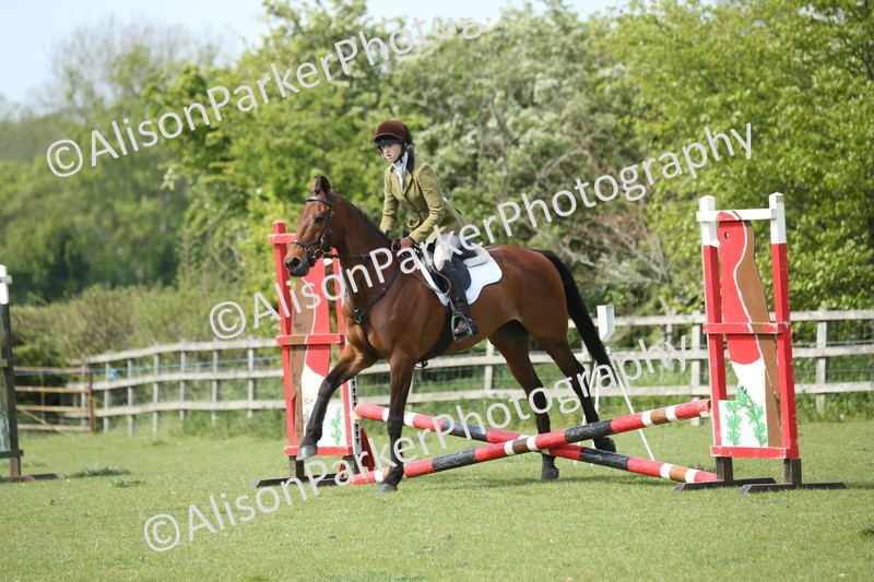 20260426-1668 - Class 14 - Novice 60cm
